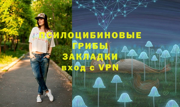 прущая мука Инта